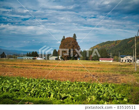 Yonezawa City Autumn Totoro 83510511