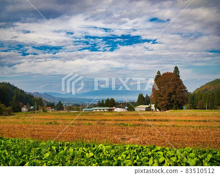 Yonezawa City Autumn Totoro 83510512