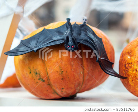 Bat on the pumpkin. The outdoor Halloween decoration. 83511766