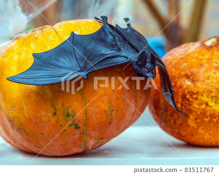 Bat on the pumpkin. The outdoor Halloween decoration. Bat on the pumpkin. The outdoor Halloween decoration. 83511767