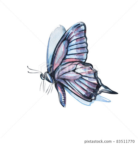 Watercolor colorful butterflie, isolated on white background. Blue, yellow butterfly spring illustration. Watercolor colorful butterflie, isolated on white background. Blue, yellow butterfly spring illustration. 83511770