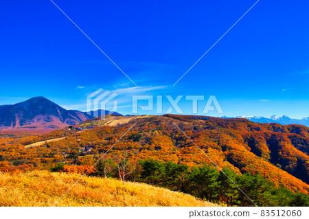 Nagano Prefecture Tateshina Plateau Venus Line Autumn Leaves Yatsugatake Nagano Prefecture Tateshina Plateau Venus Line Autumn Leaves Yatsugatake 83512060
