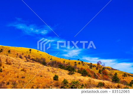 Nagano Prefecture Tateshina Plateau Venus Line Autumn leaves Nagano Prefecture Tateshina Plateau Venus Line Autumn leaves 83512065