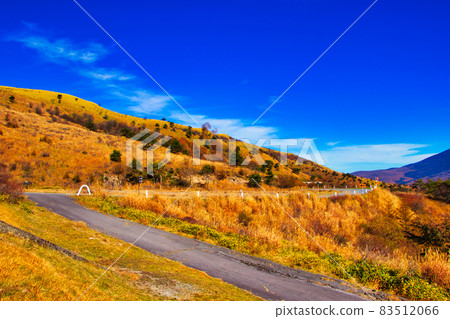 Nagano Prefecture Tateshina Plateau Venus Line Autumn leaves Nagano Prefecture Tateshina Plateau Venus Line Autumn leaves 83512066