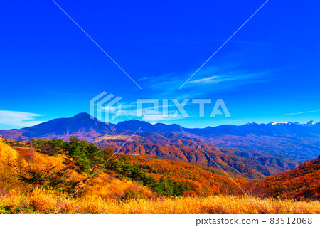Nagano Prefecture Tateshina Plateau Venus Line Autumn leaves Nagano Prefecture Tateshina Plateau Venus Line Autumn leaves 83512068