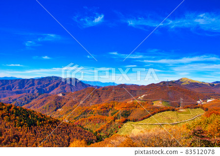 Nagano Prefecture Tateshina Kogen Venus Line Autumn Leaves Central Alps 83512078