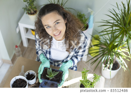 Planting flowers 83512486
