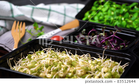 Image of microgreens in containers on the table Image of microgreens in containers on the table 83512644