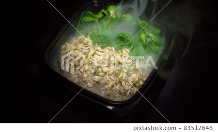 Image of the plate with sprouted seeds of pea, bean, mung Image of the plate with sprouted seeds of pea, bean, mung 83512646
