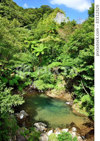 Amami Oshima Yamato Village Yuwangama Pure waterfall scenery Amami Oshima Yamato Village Yuwangama Pure waterfall scenery 83512826