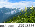 在山頂上的花田 83512886
