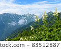 在山頂上的花田 83512887