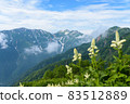 在山頂上的花田 83512889