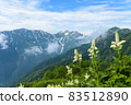 在山頂上的花田 83512890