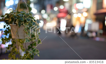 Photographing foliage plants with the night shopping street in the background 83513418