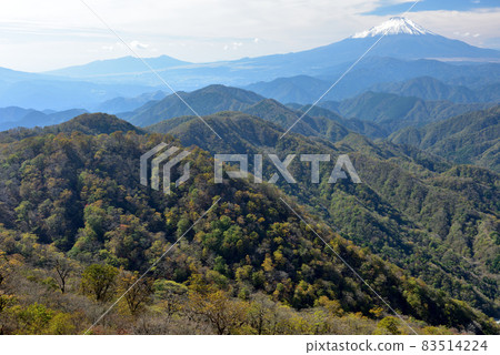 富士山和紅葉(日本的秋天,丹澤 / 遠岳 / 鍋堀山路) 富士山和紅葉(日本的秋天,丹澤 / 遠岳 / 鍋堀山路) 83514224