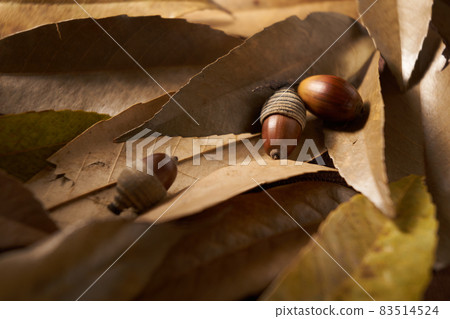 橡子的橡子 83514524