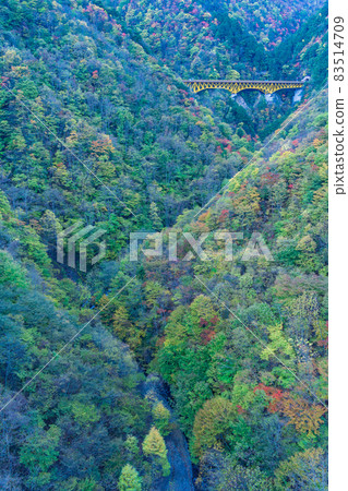 (Saitama Prefecture) Karisaka Bridge and autumn leaves leading to the Karisaka Tunnel 83514709