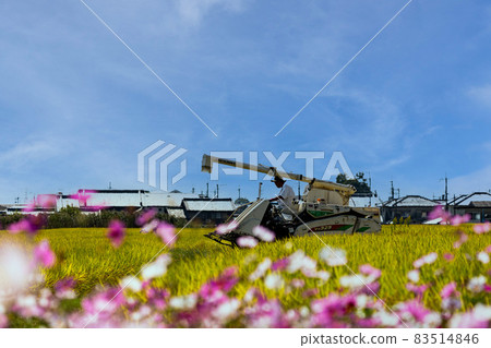 奈良縣水稻種植和聯合宇宙 83514846
