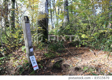 Kariike mountain trail (Ono City, Fukui Prefecture) 83515670
