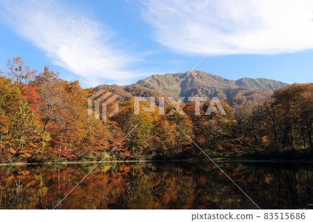 Autumn leaves cutting pond (Ono City, Fukui Prefecture) Autumn leaves cutting pond (Ono City, Fukui Prefecture) 83515686