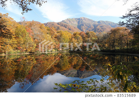 Autumn leaves cutting pond (Ono City, Fukui Prefecture) 83515689
