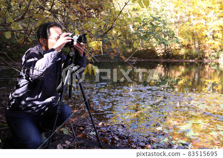 Take a picture of Karikomi Pond with autumn leaves (Ono City, Fukui Prefecture) 83515695
