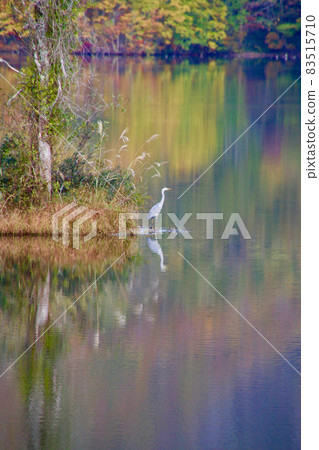 Lake Sohara in autumn (Kitashiobara Village, Fukushima Prefecture) 83515710