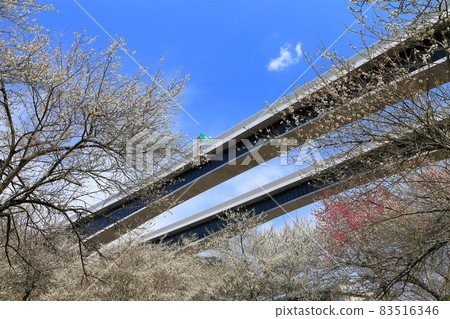 [Tokyo] Takao Umego and Hachioji JCT 83516346