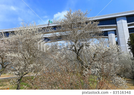 [Tokyo] Takao Umego and Hachioji JCT 83516348