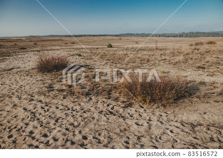Bledow desert (pustynia bledowska) biggest sand desert in Silesia region in Poland 83516572