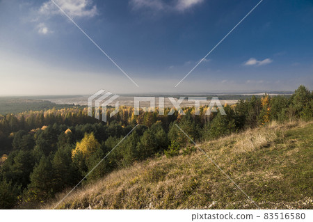 Bledow desert (pustynia bledowska) biggest sand desert in Silesia region in Poland Bledow desert (pustynia bledowska) biggest sand desert in Silesia region in Poland 83516580