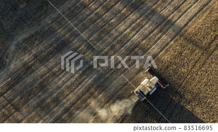 Harvesting of soybean field with combine in late summer 83516695