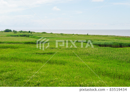 nature reserve Randu Meadows, located on the eastern shore of the Gulf of Riga in the Baltic Sea nature reserve Randu Meadows, located on the eastern shore of the Gulf of Riga in the Baltic Sea 83519434