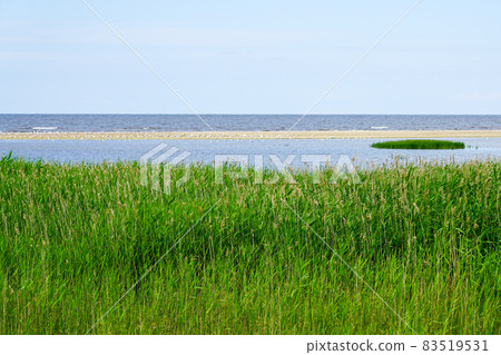 nature reserve Randu Meadows, located on the eastern shore of the Gulf of Riga in the Baltic Sea nature reserve Randu Meadows, located on the eastern shore of the Gulf of Riga in the Baltic Sea 83519531