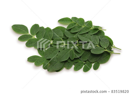 Moringa Moringa 83519820