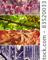 Collage background material image with seasonal plants lined up in spring, summer, autumn and winter 83520033