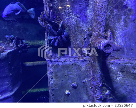 Old Antique Submarine or Ship Hatch Wheel 83520647