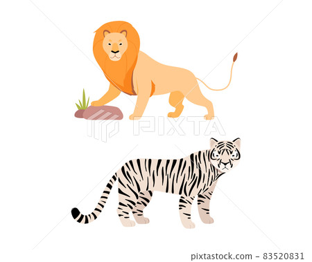 Felid or Wild Cat as Carnivore Animal with Lion and Bengal Tiger Vector Set 83520831