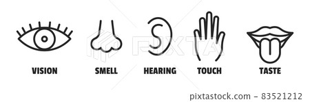 Minimal sence icons. Eye nose ear hand tongue sensation sign. Vector sensory simple sign Minimal sence icons. Eye nose ear hand tongue sensation sign. Vector sensory simple sign 83521212