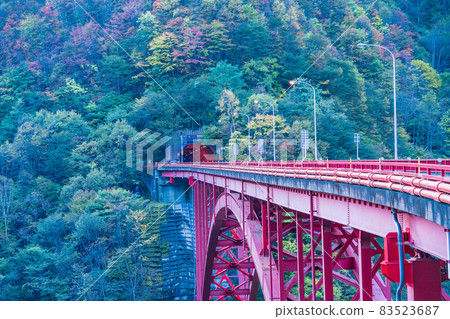 （Sa玉縣）Aisaka隧道後的Tomeyaki橋 83523687