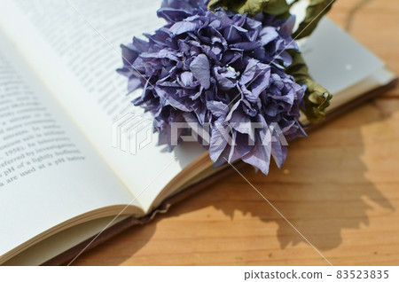 Purple hydrangea dried flowers and foreign books 83523835