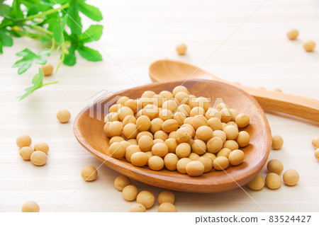 大豆 大豆 83524427