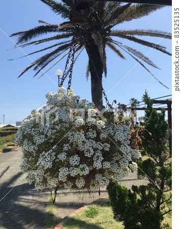 立山家庭公園 立山家庭公園 83525135