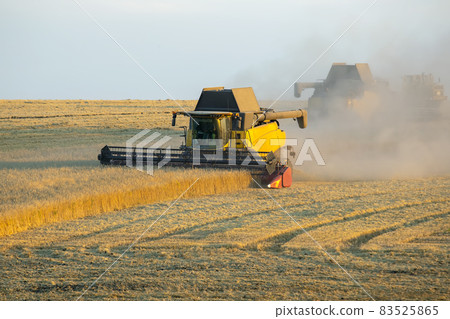combine harvester harvests wheat in the field. agronomy and grain industry combine harvester harvests wheat in the field. agronomy and grain industry 83525865