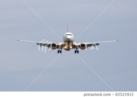 Passenger jet plane flies in the sky. Air transport industry Passenger jet plane flies in the sky. Air transport industry 83525915
