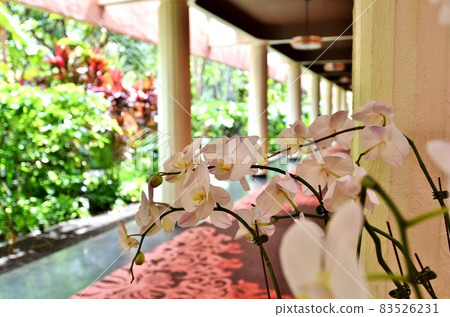 Holidays in Hawaii 83526231