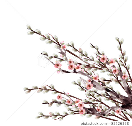 梅花柳水彩畫 83526358