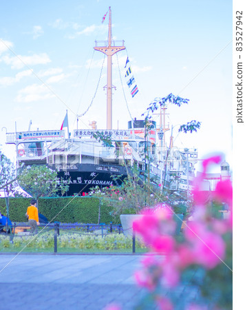 Roses and Hikawamaru in Yamashita Park Roses and Hikawamaru in Yamashita Park 83527942