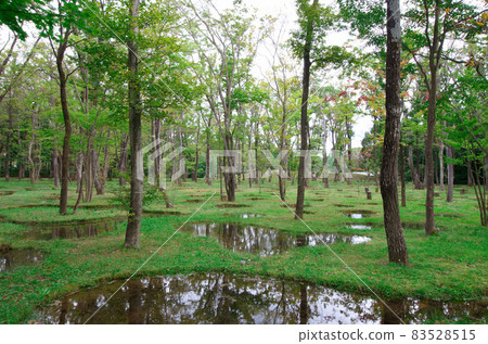Junya Ishigami's Art Biotop Nasu Water Garden 6 83528515
